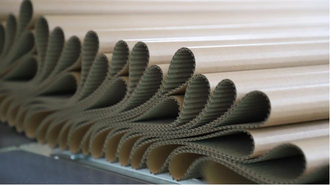 奋战当“夏”丨新增年产值6亿元!都氏集团新项目正式投产→(图3)