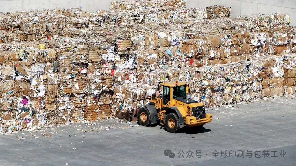 九游娱乐文化：2025年废纸市场权威展望：价格是涨是跌？谁将主导沉浮？(图1)