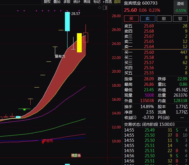 太阳纸业宣布产品涨价！A股造纸板块龙头股梳理。(图2)