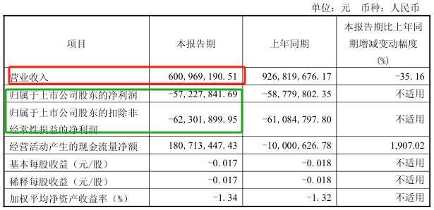 九游娱乐文化：这家面板厂2024年度净利润亏损约19亿元今年一季度亏损572278万元(图2)