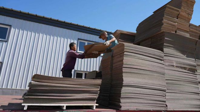 【新疆】和布克赛尔县：产业振兴有“盒”力从填补空白到年产值过百万(图3)