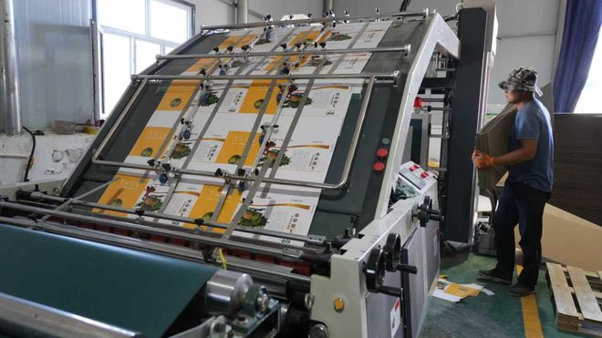 【新疆】和布克赛尔县：产业振兴有“盒”力从填补空白到年产值过百万(图1)