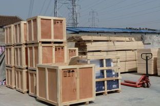 胶合板箱制造商山东国泰民沣技术团队定制生产质量可靠(图2)