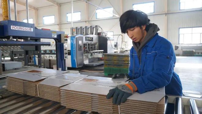 【企业】新疆一纸板厂顺利投产投资近8000万元!(图6)