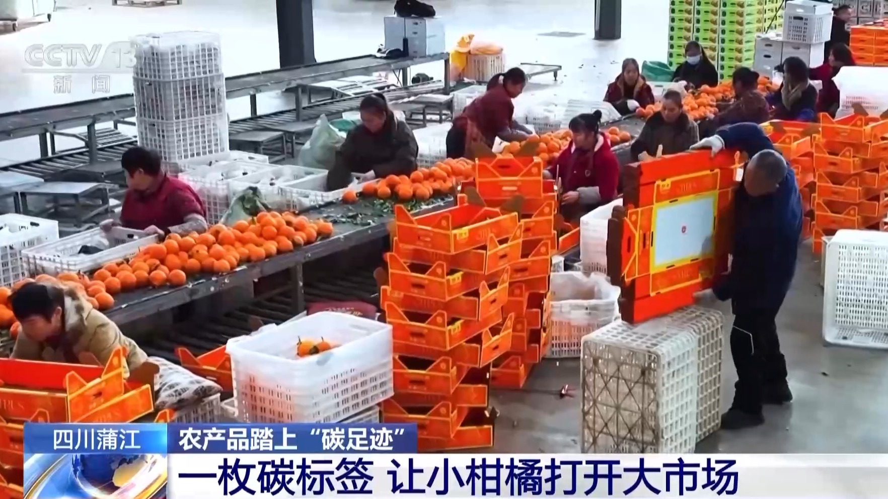 九游娱乐文化:农产品踏上“碳足迹”这个新标尺让柑橘“甜”上加“值”(图4)