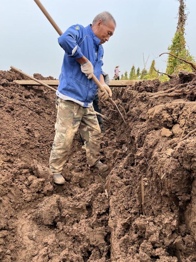 秋天主食换成它！脾胃舒服还能补钾一蒸又香又绵软！(图5)